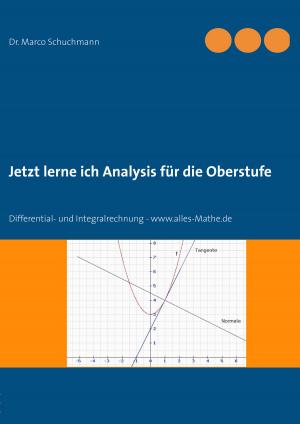 Cover of the book Jetzt lerne ich Analysis für die Oberstufe by Edwin Lemke