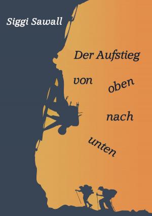 Cover of the book Der Aufstieg von oben nach unten by André Sternberg