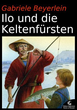 Book cover of Ilo und die Keltenfürsten