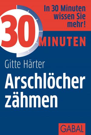 Cover of the book 30 Minuten Arschlöcher zähmen by Stefanie Demmler, Solveig Lanske, Dörthe Ziemer