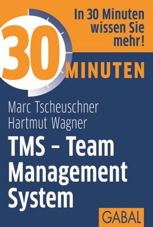 Cover of the book 30 Minuten TMS - Team Management System by 