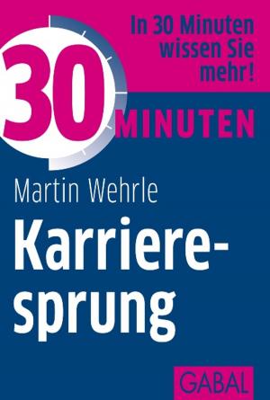 Cover of the book 30 Minuten Karrieresprung by Katharina Maehrlein