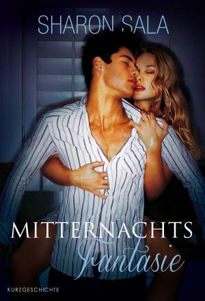 Cover of the book Mitternachtsfantasie by Emilie Richards