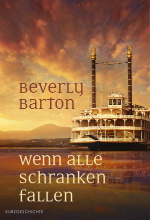 Cover of the book Wenn alle Schranken fallen by Jordan Marie