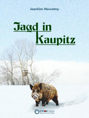 Book cover of Jagd in Kaupitz
