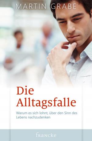 Cover of the book Die Alltagsfalle by Jörg Berger