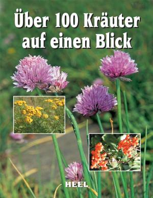 Book cover of Über 100 Kräuter auf einen Blick