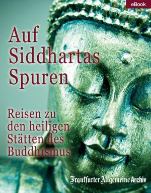 Book cover of Auf Siddhartas Spuren