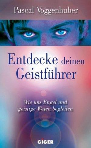 Cover of the book Entdecke deinen Geistführer by Pascal Voggenhuber