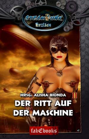 Cover of SteamPunk 2 Erotics: Der Ritt auf der Maschine