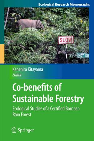 Cover of the book Co-benefits of Sustainable Forestry by Yoshinori Shiozawa, Masashi Morioka, Kazuhisa Taniguchi