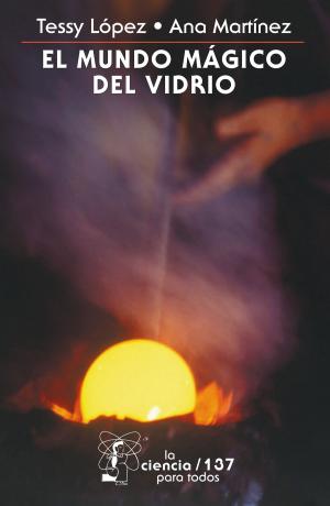 Cover of the book El mundo mágico del vidrio by Vicente Riva Palacio