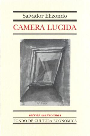 Book cover of Camera Lucida