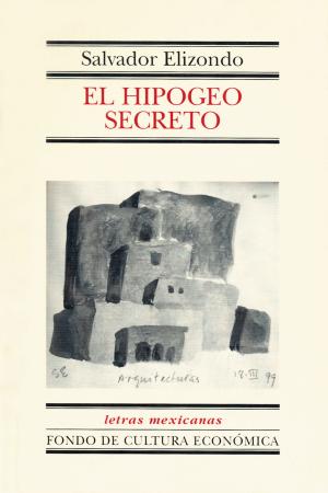 Cover of the book El Hipogeo Secreto by Shahen Hacyan