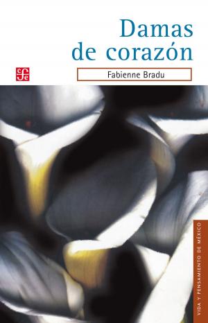 Cover of the book Damas de corazón by Mariano Azuela