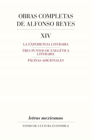 Cover of the book Obras completas, XIV by Luis Medina Peña