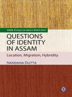 Cover of the book Questions of Identity in Assam by Barry A. Krisberg