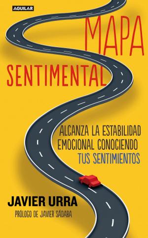 Book cover of Mapa sentimental
