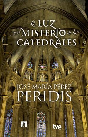 Cover of the book La luz y el misterio de las catedrales by Miguel Delibes