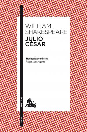 Cover of the book Julio César by Silvia Burés