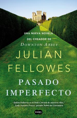 Book cover of Pasado imperfecto