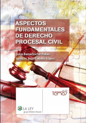 Cover of Aspectos fundamentales de Derecho procesal civil