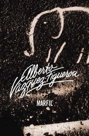 Cover of the book Marfil by Luigi Garlando