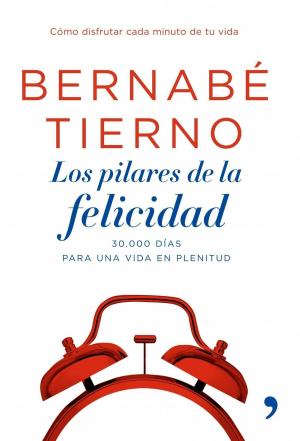 Cover of the book Los pilares de la felicidad by Care Santos