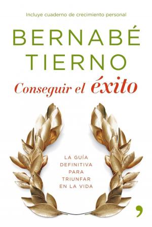 Cover of the book Conseguir el éxito by Lucía Etxebarria
