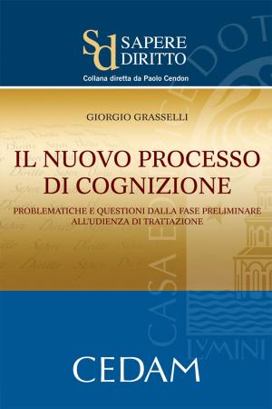 Cover of the book Il nuovo processo di cognizione by CONSOLO CLAUDIO