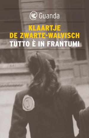 Cover of the book Tutto è in frantumi by Håkan Nesser