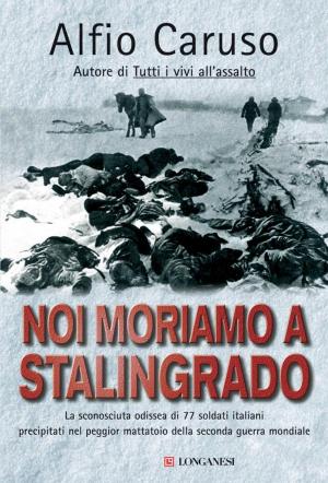 Book cover of Noi moriamo a Stalingrado