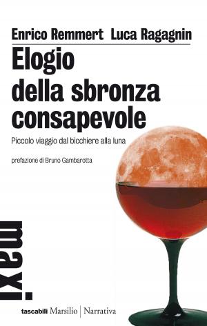 Book cover of Elogio della sbronza consapevole