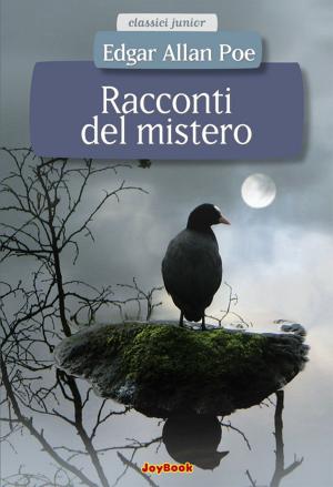 Cover of the book Racconti del mistero by Jules Verne