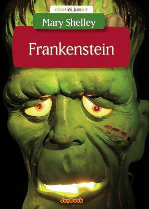 Cover of the book Frankenstein by Edgar Allan Poe