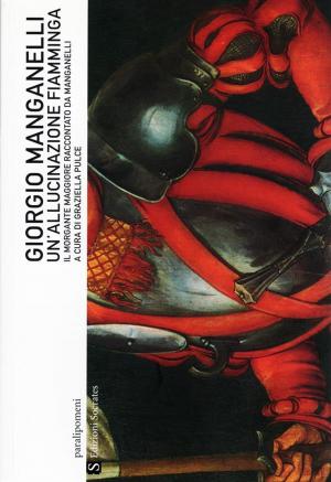 Book cover of Un'allucinazione fiamminga