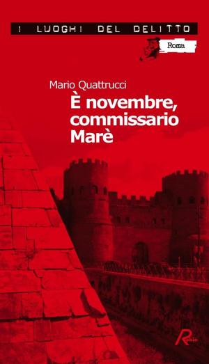 Cover of the book È novembre, commissario Marè by Silvio Mignano