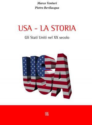 Book cover of USA - la storia