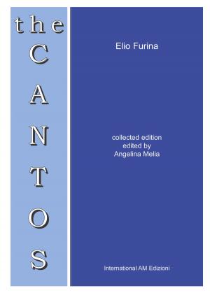 bigCover of the book The Cantos by 