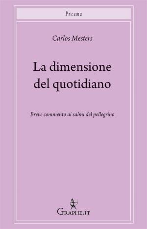 Cover of the book La dimensione del quotidiano by Luca Montecchio