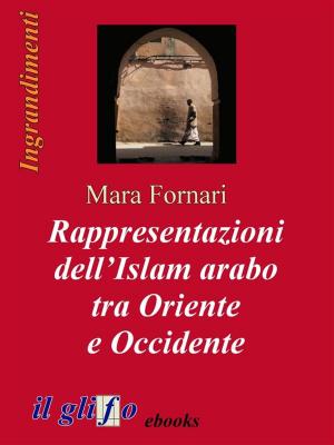 bigCover of the book Rappresentazioni dell’Islam arabo tra Oriente e Occidente by 