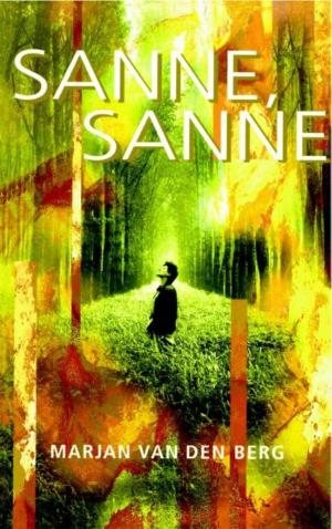 Cover of the book Sanne, Sanne by Karl May