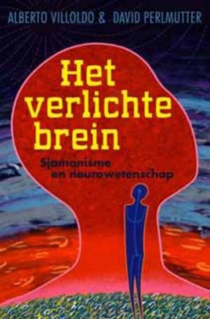 Cover of the book Het verlichte brein by Rebecca Brents