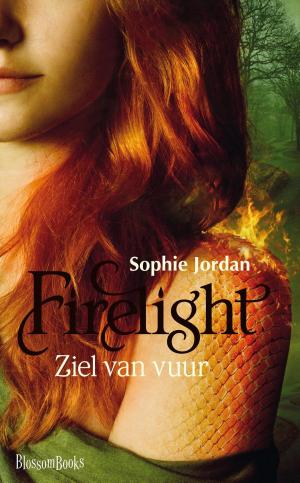 Book cover of Ziel van vuur