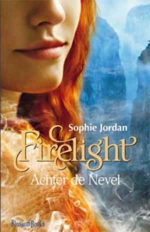 Cover of the book Achter de nevel by Janni Lee Simner