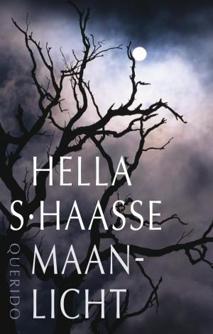 Cover of the book Maanlicht by Annejet van der Zijl