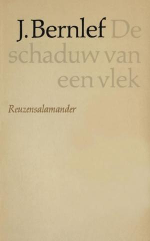Cover of the book Schaduw van een vlek by Henning Mankell