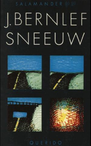 Cover of the book Sneeuw by Willem van Toorn