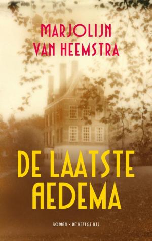 Cover of the book De laatste Aedema by Martin Reints