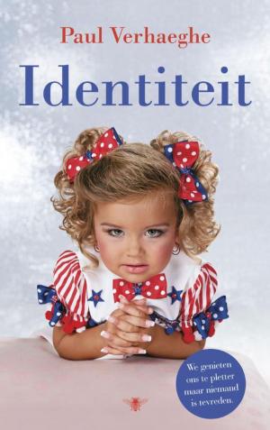 bigCover of the book Identiteit by 